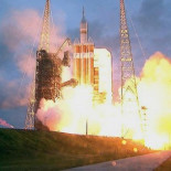 Los 3.500 tigres que existen en el mundo están en riesgo de extinción