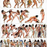 Los inconvenientes del pelo en pecho