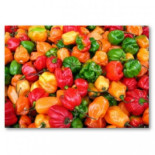 ¿Bebes agua cuando la comida pica?