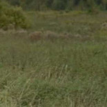 Amargura laboral [Humor]