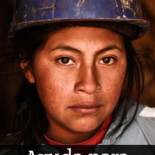 La medusa cofre, el animal más venenoso del planeta