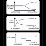Dormir en pareja (resumen gráfico)