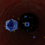 Laboratorio de Cambridge halla cura para el resfriado común [ENG]