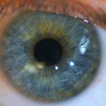 ¿Por qué si cerramos fuerte los ojos vemos luces?