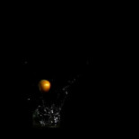 Una palomita a 6&nbsp;200 cuadros por segundo