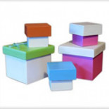 El bundle de los cojones