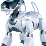 La policía acredita los regalos de la trama del 'caso Gürtel' a la familia de Francisco Camps