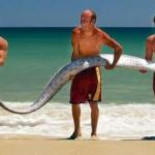 Fotos que cuesta creer