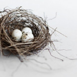 Te quiero… pero no estoy enamorado de ti