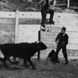 4 extraños experimentos que nunca deberían repetirse