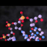 La NASA ha descubierto un microorganismo que se basa en el Arsenico [Comunicado Oficial]  [ENG]