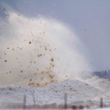 Investigadores se disfrazan de oso panda para cuidar de una cría