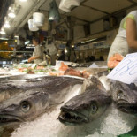 Este pez tiene mercurio (y usted)