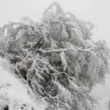 Dan una paliza a uno de los asistentes al acto en favor de Otegi