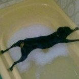 Publicidad de tabaco antigua