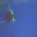 Peces robot patrullarán la bahía de Gijón este año