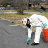 Resuelven el 'caso' de las miles de aves muertas en un pueblo de Arkansas