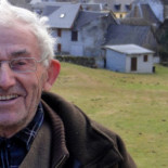 "Algo raro está pasando con los pájaros, han desaparecido"