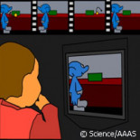 Los bebés entienden el punto de vista de los adultos