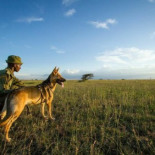 Yellowstone se ha abombado hinchado por bolsas de magma del supervolcán (ING)