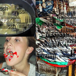 Por qué no nos dan pena los peces