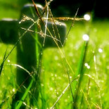 8 formas de matar la cultura