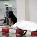 Los suicidios superan a los accidentes de tráfico como primera causa de muerte violenta