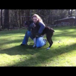 Un entrenador de perros salva la vida a un boxer mediante reanimación cardiopulmonar