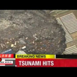 Vídeo de tsunami arrasando pueblo en Japón