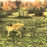 Hiena quitando la comida a un guepardo, pero...