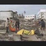 Por qué en los tsunamis no mueren tantos animales (ING)