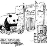 Texas permitirá que los profesores cuestionen la evolución en clase de ciencias