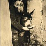 Críticos de arte engañados por un burro