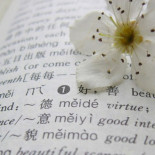 20 palabras geniales que no tienen traducción