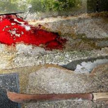 Asaltan Protectora de Animales en Lugo