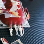 El Reino Unido permitirá donar sangre a hombres gays, pero sólo si no han practicado sexo en los últimos diez años