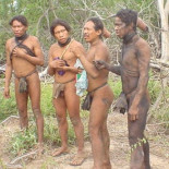 Ganaderos pillados con las manos en la masa... desde el espacio