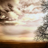 España entra en déficit ecológico