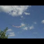 Rama de árbol que cae entre líneas de alta tensión y causa un curioso efecto