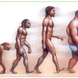 La bici "mata"... y el sofá es "salud"