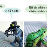 El color de los gatos siameses