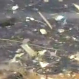 Europa propone a los pescadores capturar plástico en el mar (Eng)