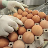 ¿Están caducadas las fechas de caducidad?