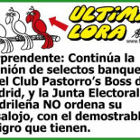 Genial forges sobre "democracia ya"