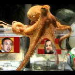 ¿Cómo se gestó el movimiento 15-M?