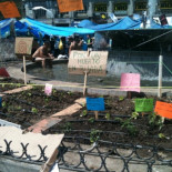 La Puerta del Sol ya tiene un huerto