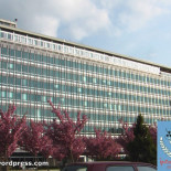 Acuerdo secreto entre la Organización Mundial de la Salud y la Agencia Internacional de Energía Atómica