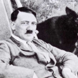 Un estudiante de 20 años logra que Adolf Hitler deje de ser ciudadano de honor de Amstetten