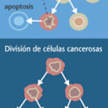 Conspiración para no curar el cáncer