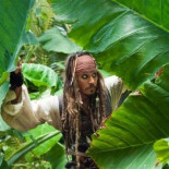 Saltan las alarmas: las películas en 3D recaudan cada vez menos dinero